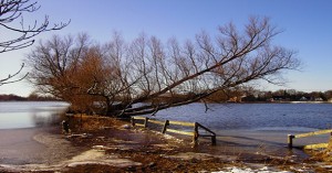 447431_R_K_B_by_Rainer-Klinke_pixelio.de