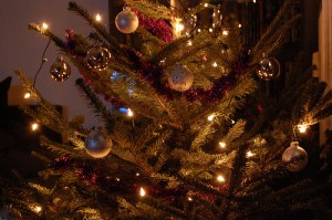 weihnachtsbaum-weihnachten